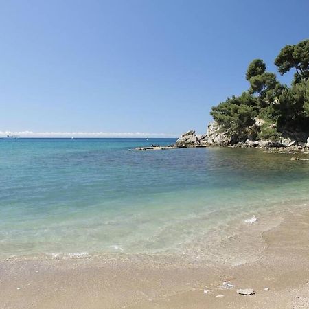 Appartement T2 Rez De Villa Proche Bord De Mer Le Pradet Exteriör bild