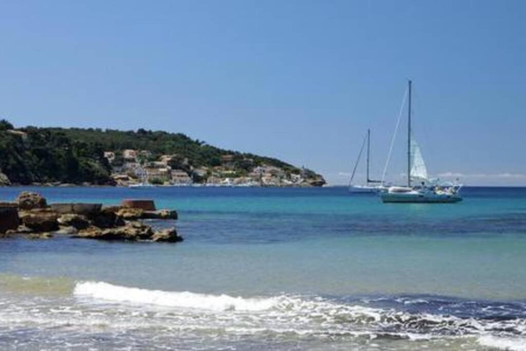 Appartement T2 Rez De Villa Proche Bord De Mer Le Pradet Exteriör bild