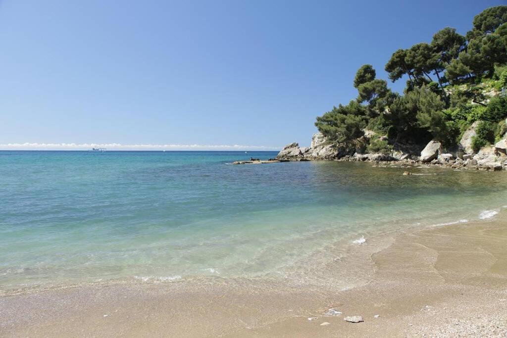 Appartement T2 Rez De Villa Proche Bord De Mer Le Pradet Exteriör bild